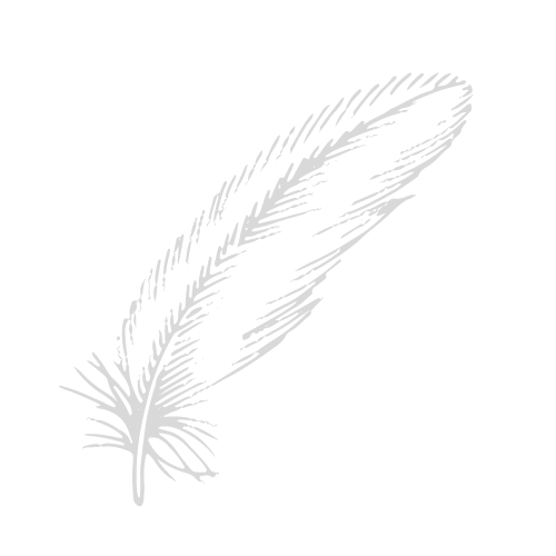 Plume grise