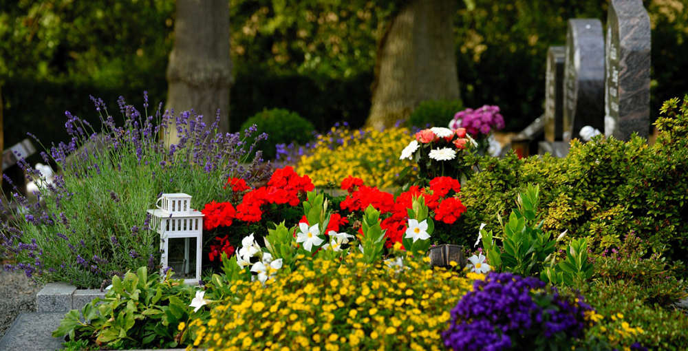 Jardin